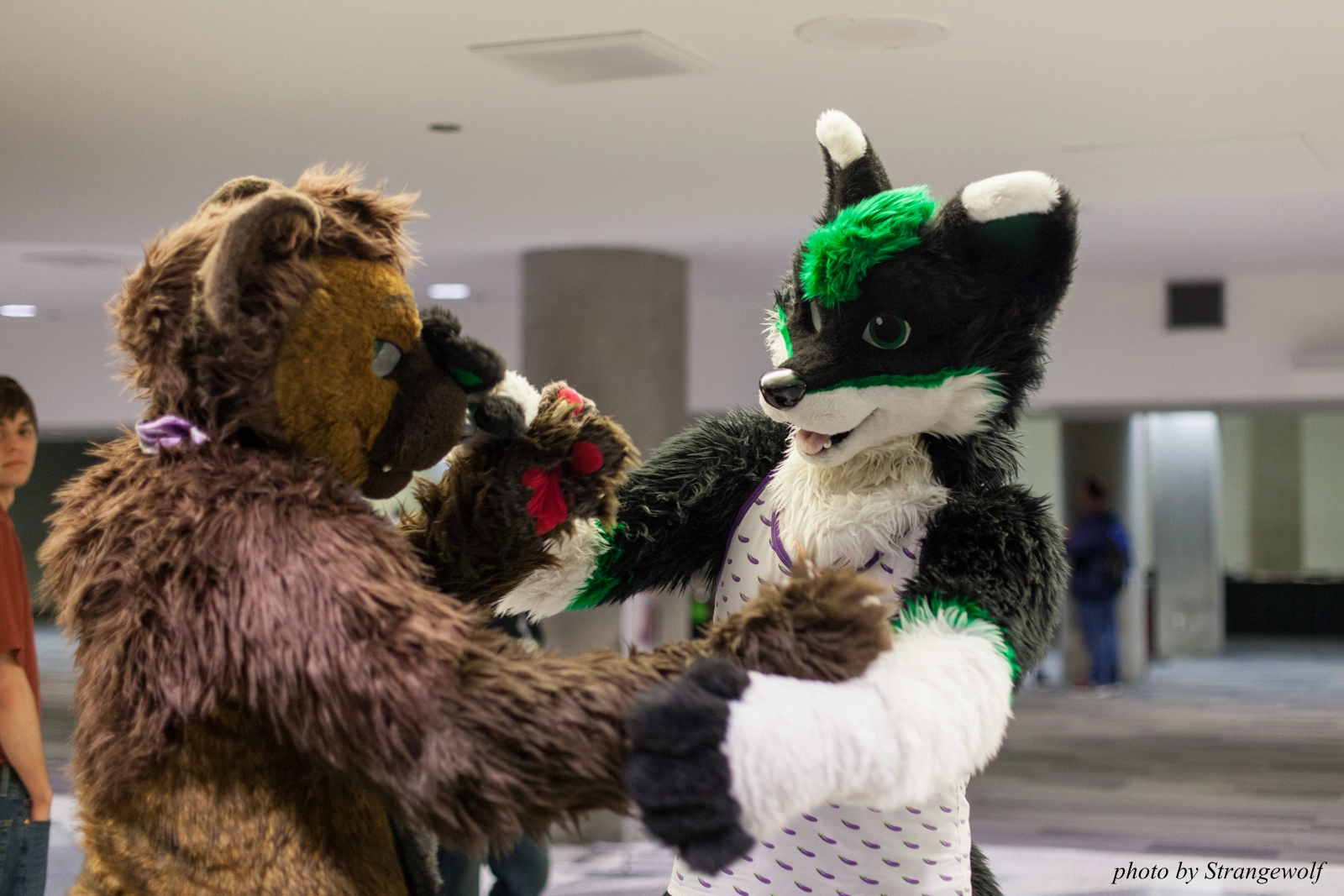 full image IMG_1151-lr16t.jpg