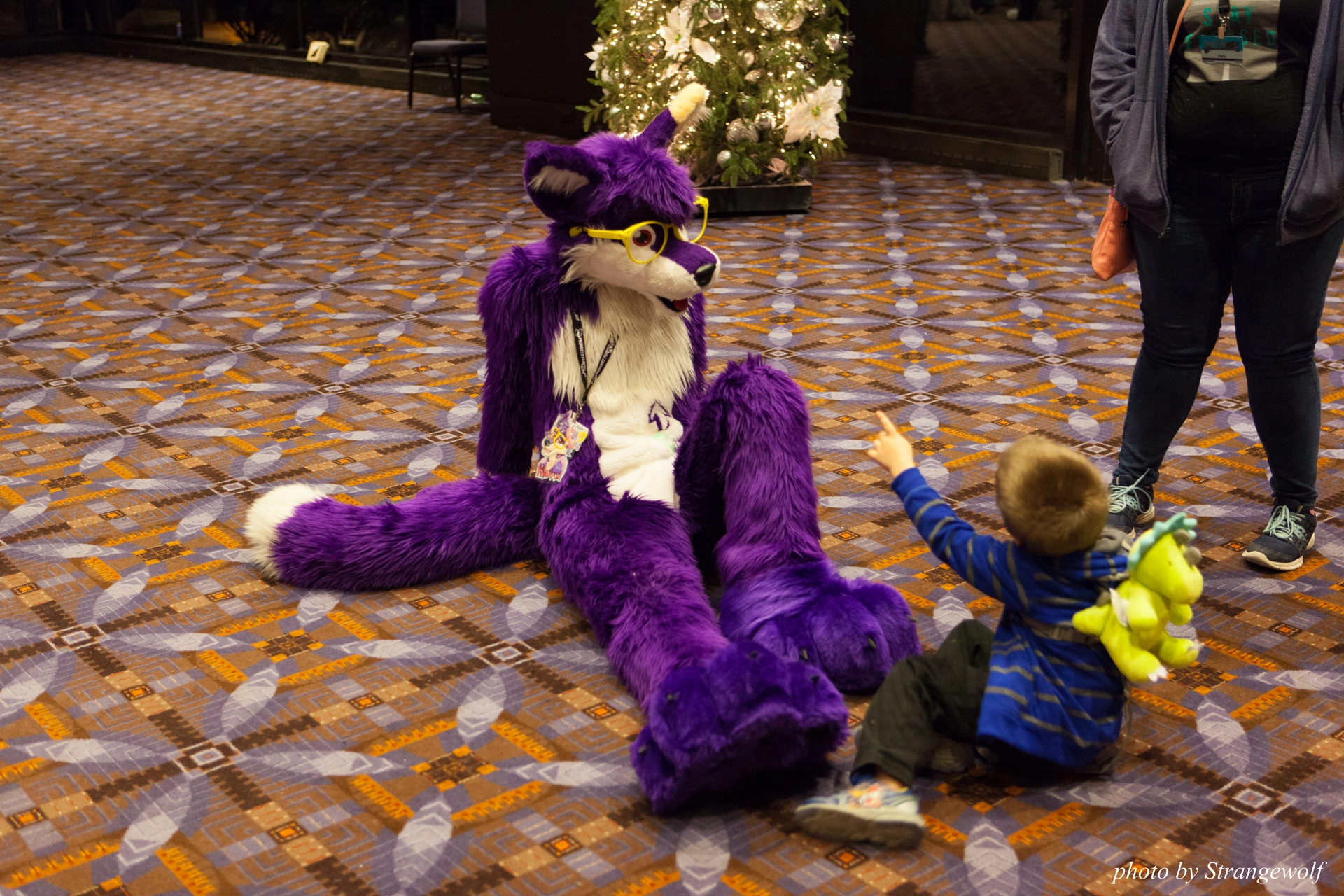 full image IMG_8592-lr19t.jpg