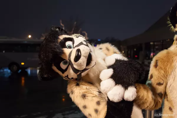 IMG_6966-lr19t.jpg of MFF/MFF2018/