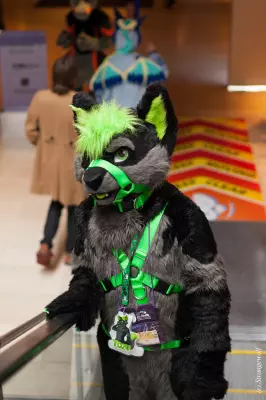 IMG_7670-lr19t.jpg of MFF/MFF2018/
