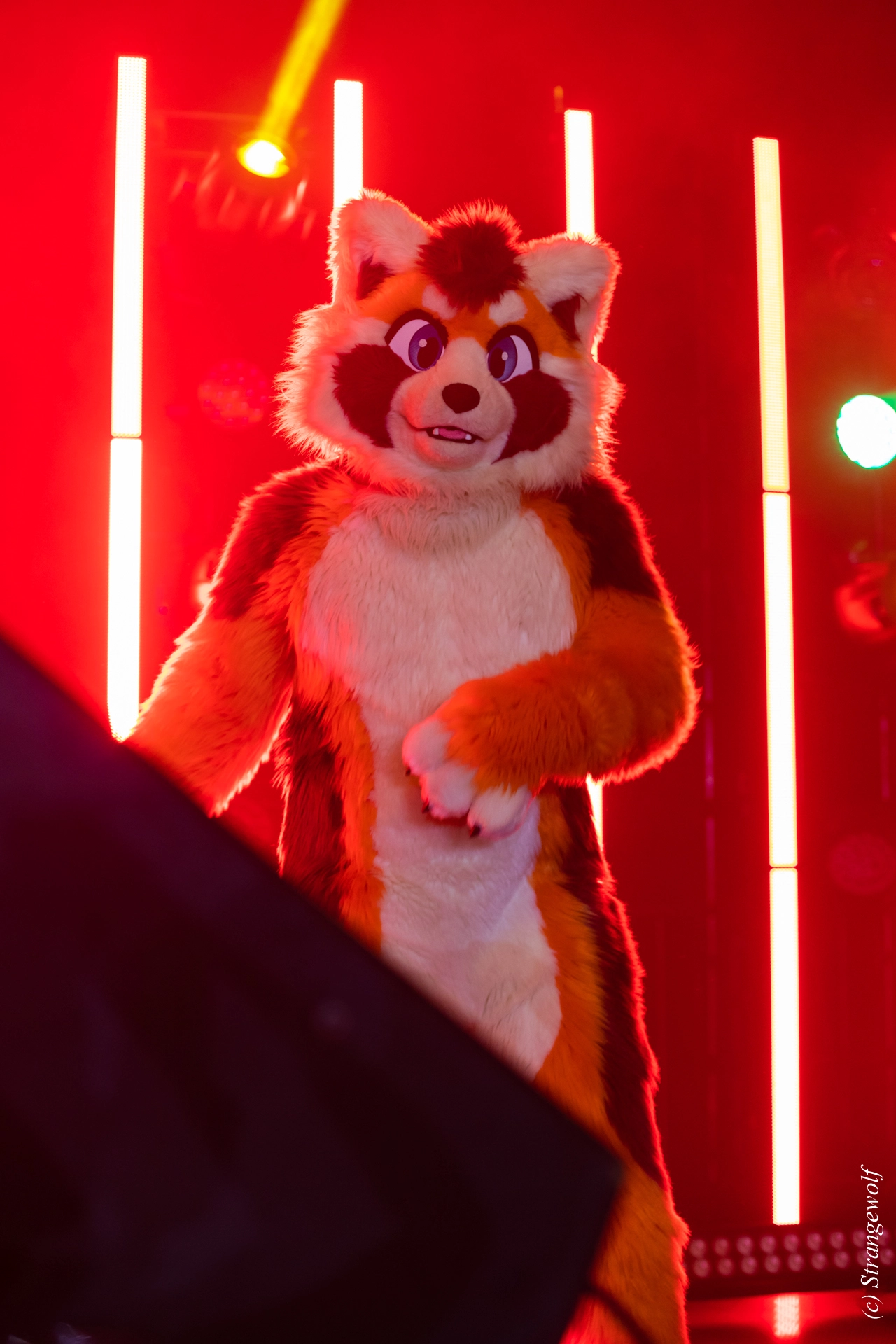 full image 1R3A5537-lr19t.jpg