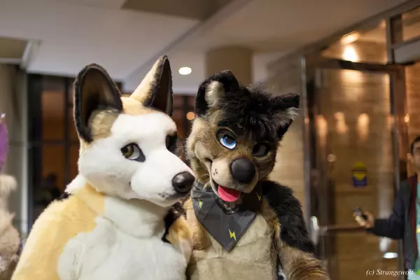 IMG_8109-lr19t.jpg of MFF/MFF2017/