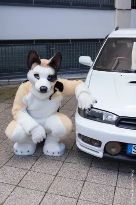 IMG_6868-lr19t.jpg of EF/EF23/MotorFurs/