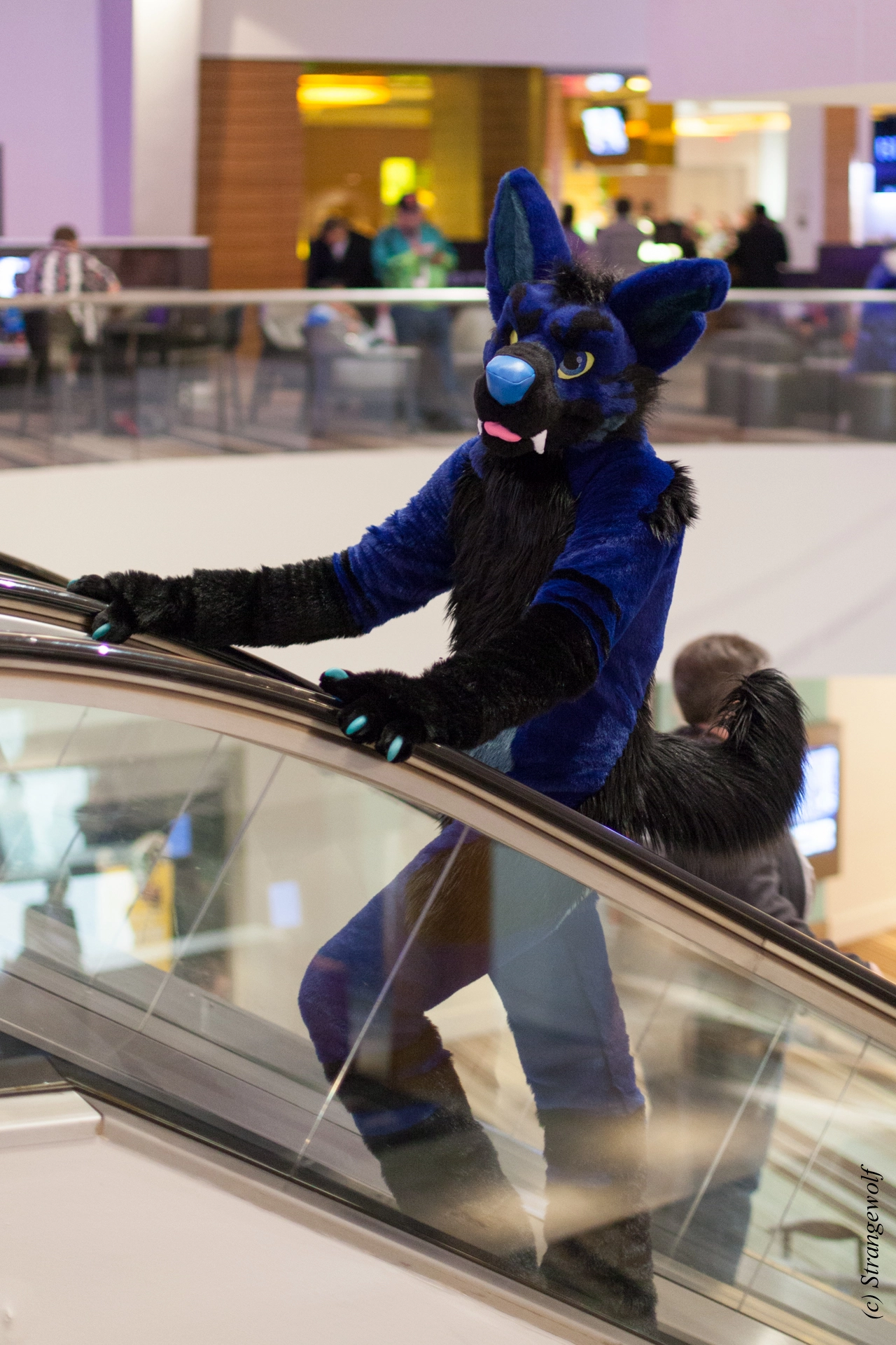 full image IMG_2005-lr19t.jpg