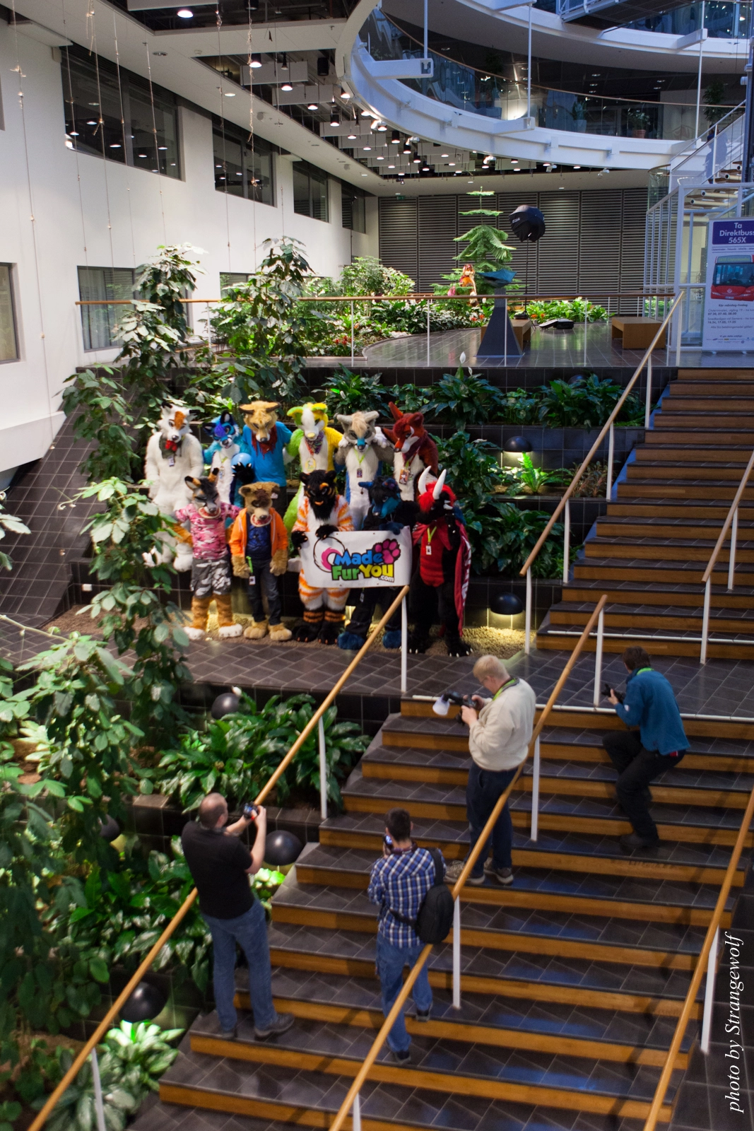 full image IMG_1688-lr16t.jpg