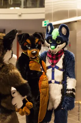 IMG_1973-lr16t.jpg of NFC/NFC2017/