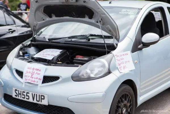 IMG_7188-lr16t.jpg of CFZ/CFZ2016/