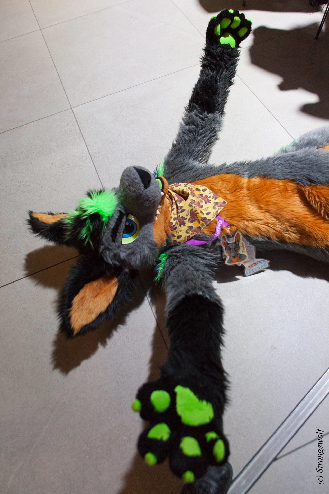 full image IMG_4842-lr19t.jpg