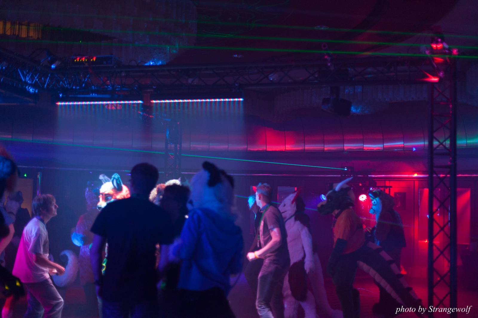 full image IMG_8754-lr16t.jpg