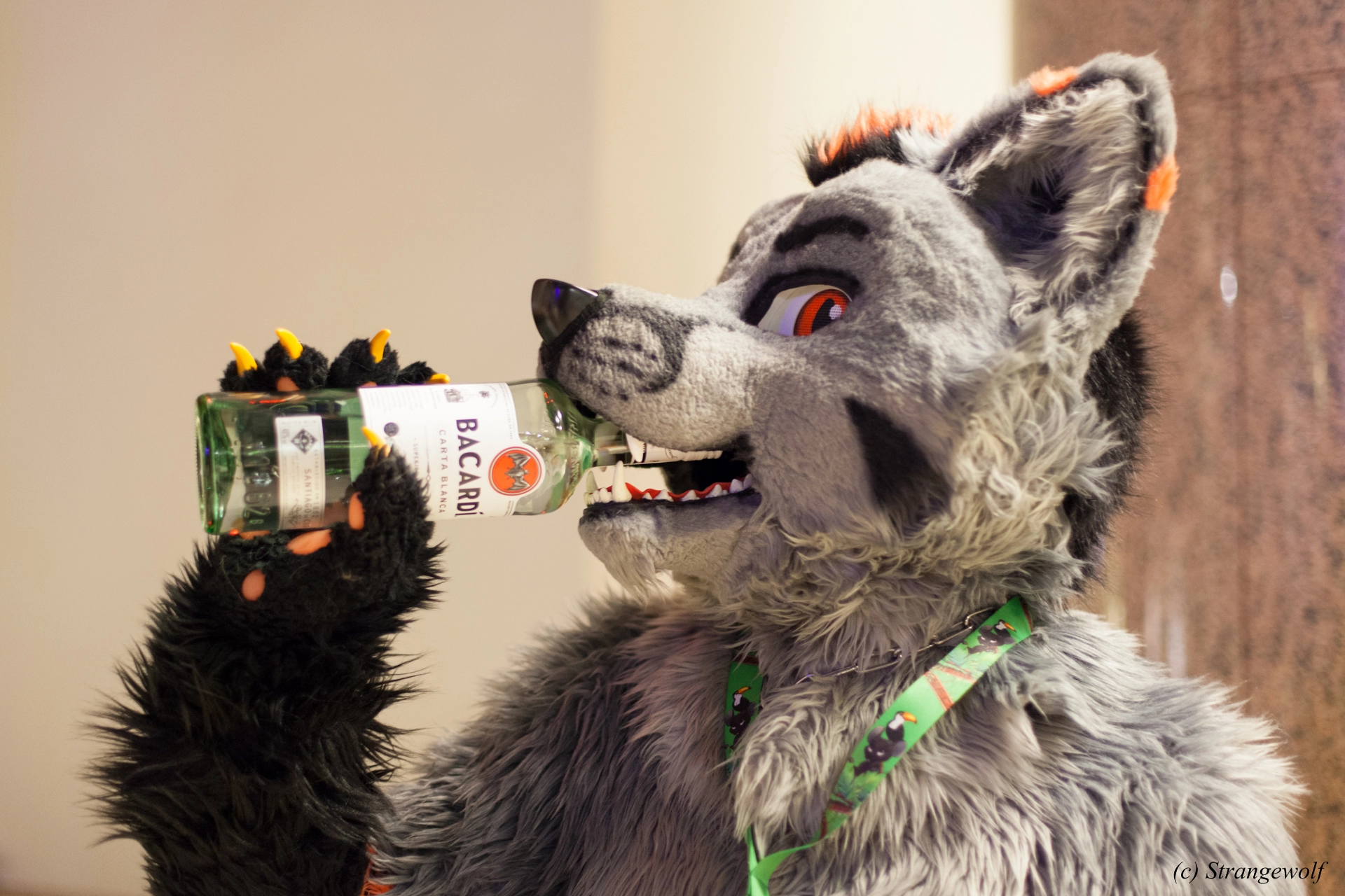 full image IMG_0897-lr19t.jpg