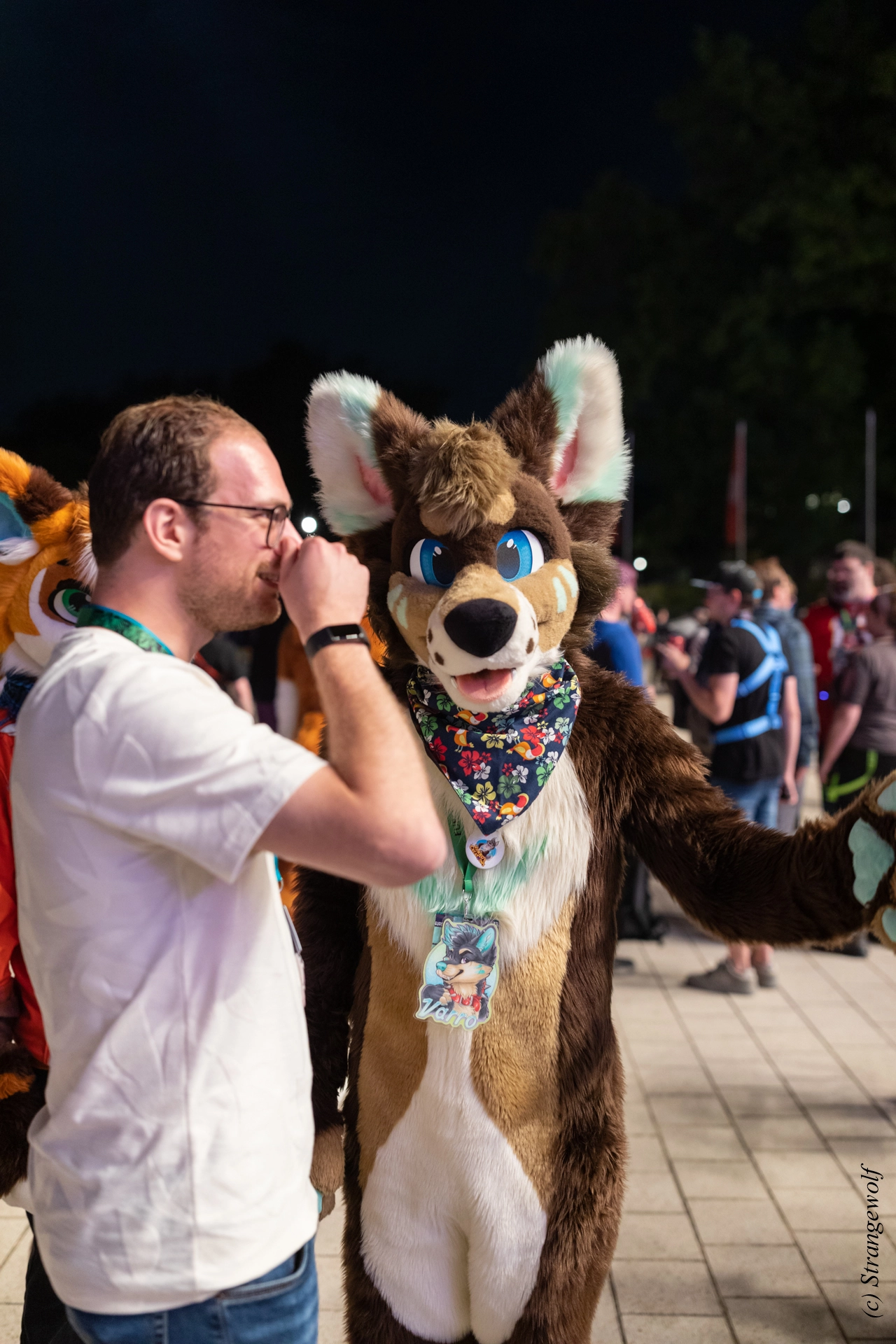 full image 1R3A9494-lr19t.jpg