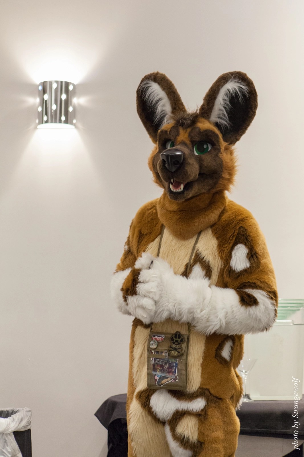 full image IMG_8171-lr16t.jpg