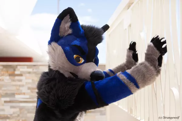 IMG_2697-lr19t.jpg of BLFC/2019/Fotoshoot-Slate/