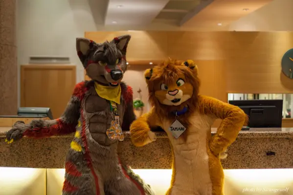 IMG_1597-lr16t.jpg of NFC/NFC2017/