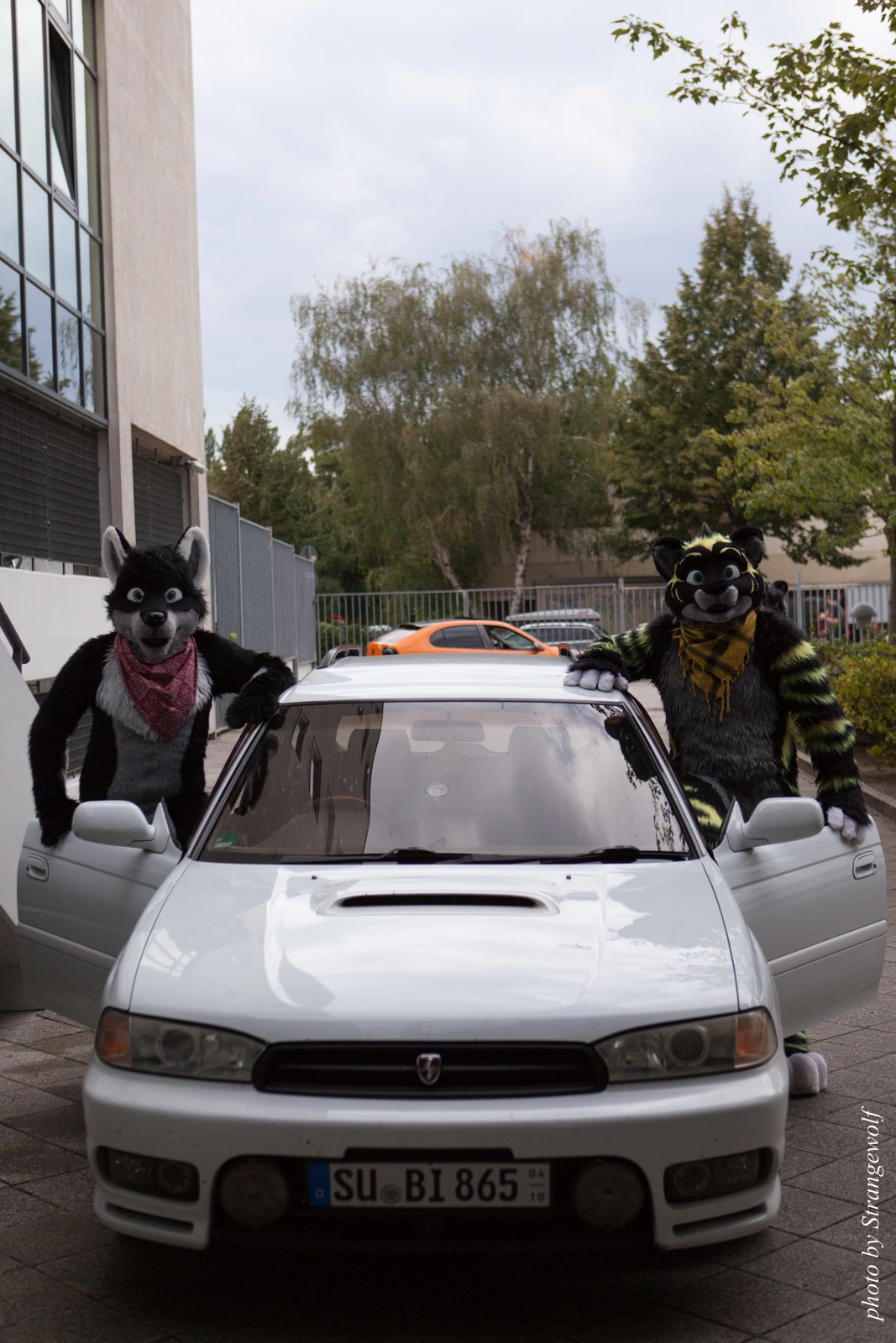 full image IMG_0141-lr16t.jpg