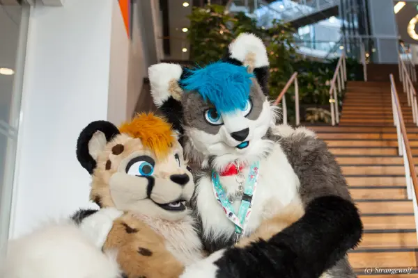 IMG_8775-lr19t.jpg of NFC/NFC2019/