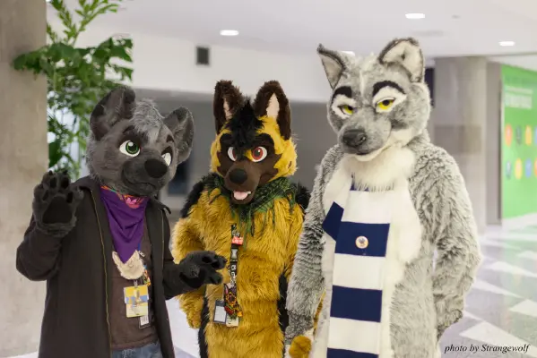 IMG_1254-lr16t.jpg of FC/FC2017/