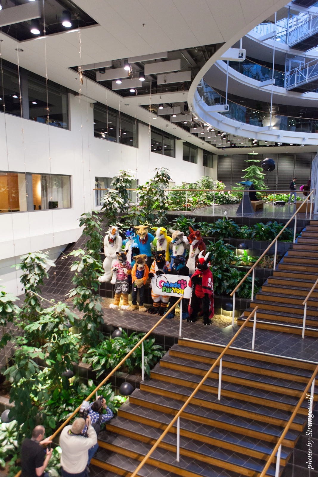 full image IMG_1675-lr16t.jpg