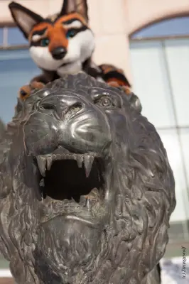 IMG_0048-lr19t.jpg of NFC/NFC2018/