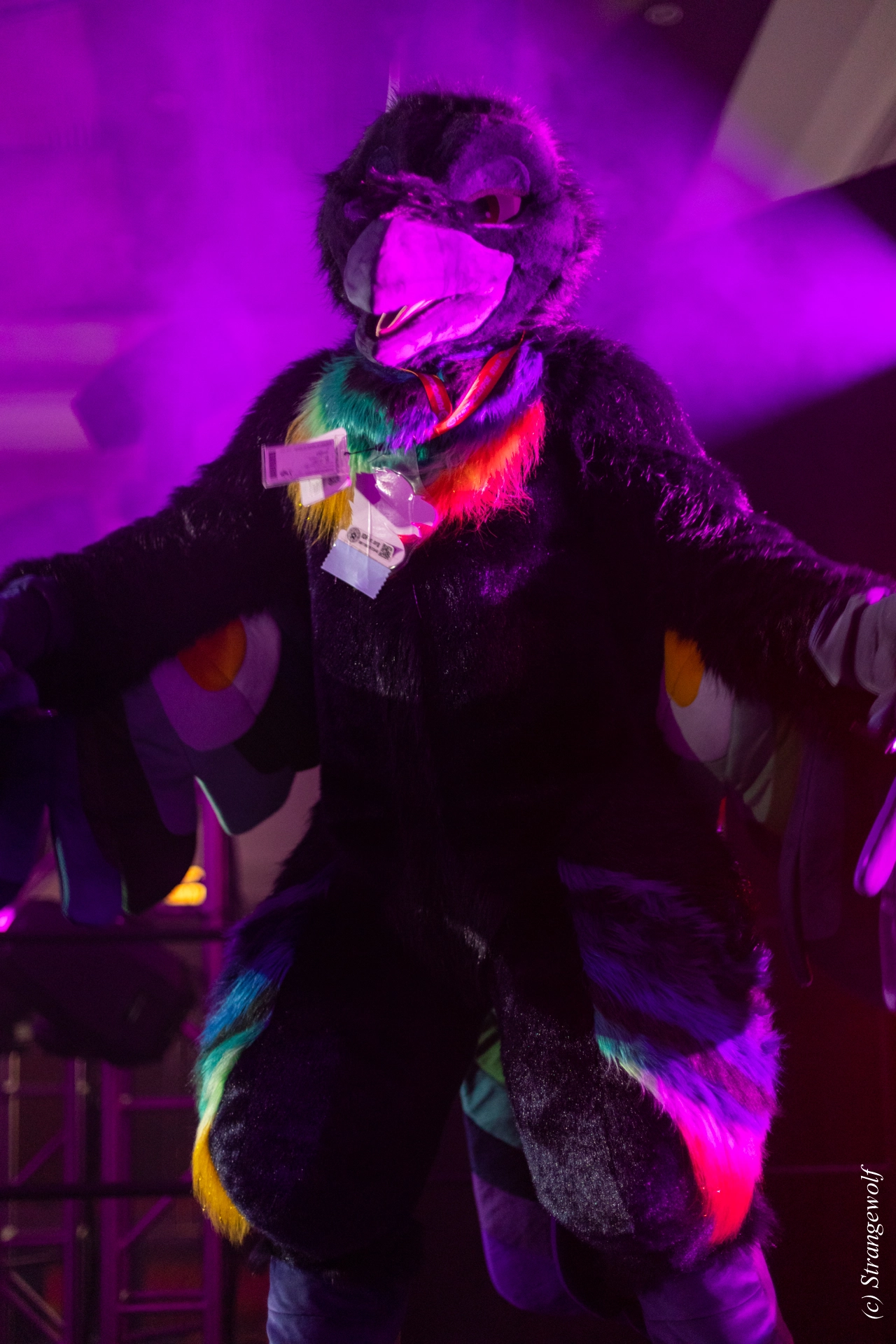 full image 1R3A0694-lr19t.jpg