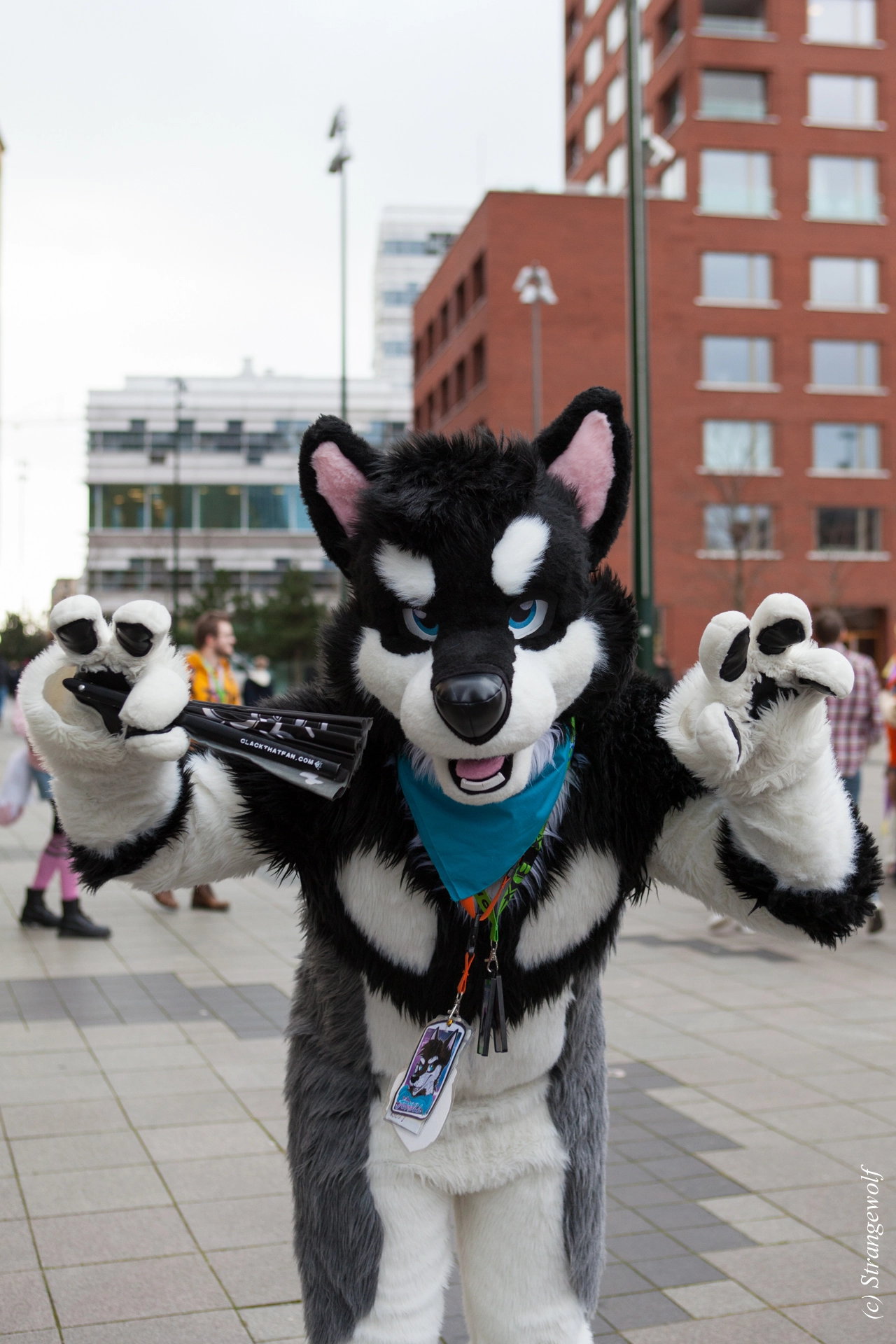 full image IMG_8379-lr19t.jpg