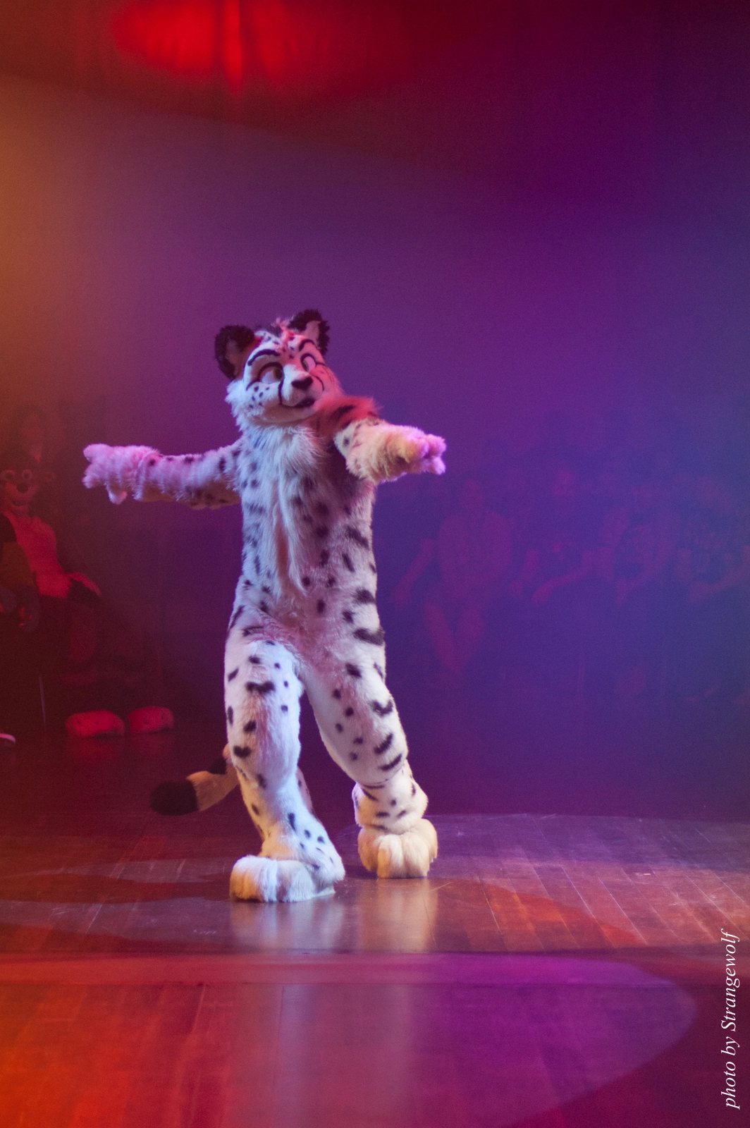 full image IMG_2548-lr16t.jpg