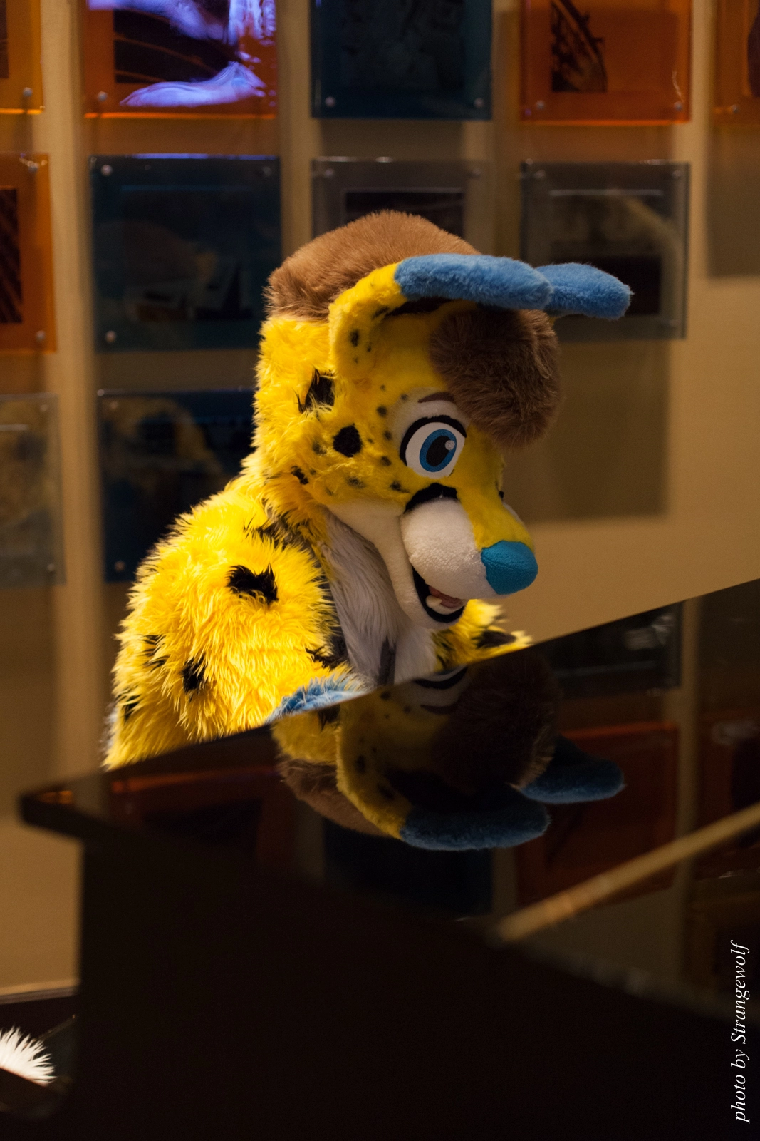 full image IMG_4259-lr16t.jpg