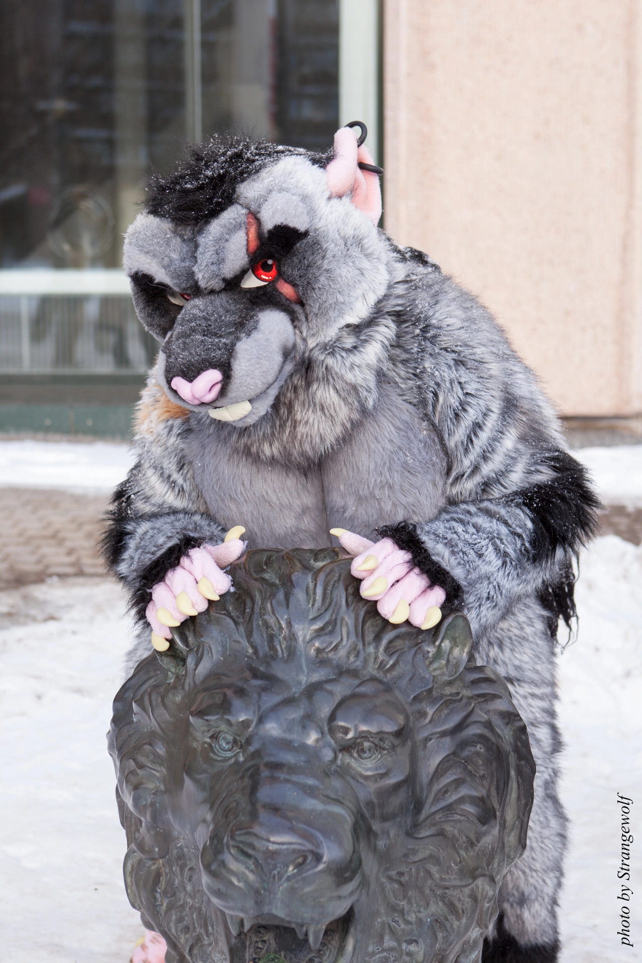 full image IMG_0364-lr19t.jpg