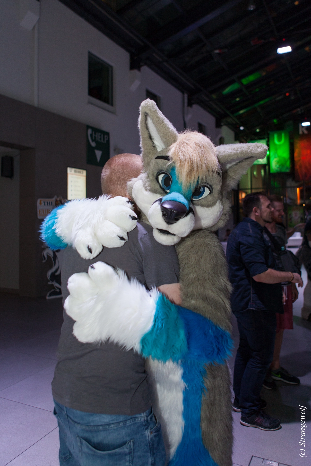 full image IMG_4795-lr19t.jpg