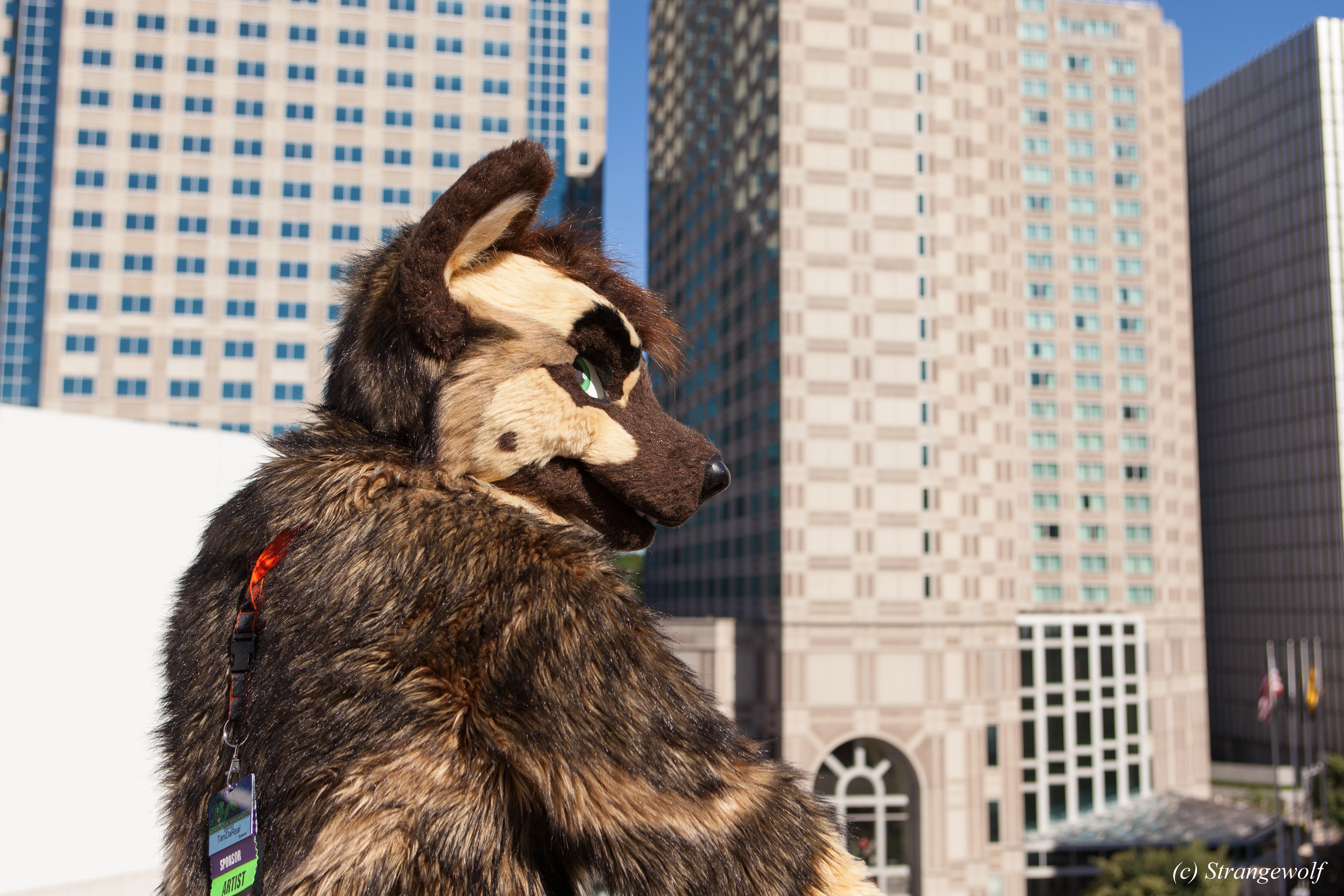 full image IMG_4208-lr.jpg