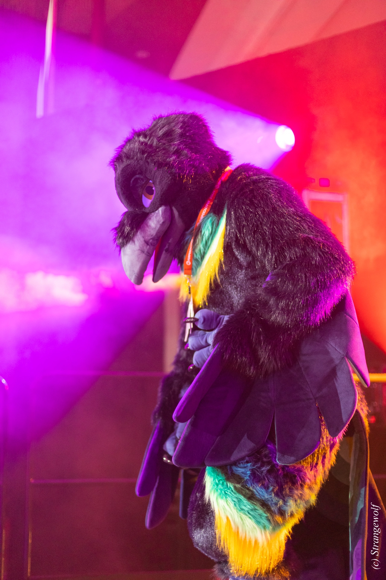 full image 1R3A0702-lr19t.jpg