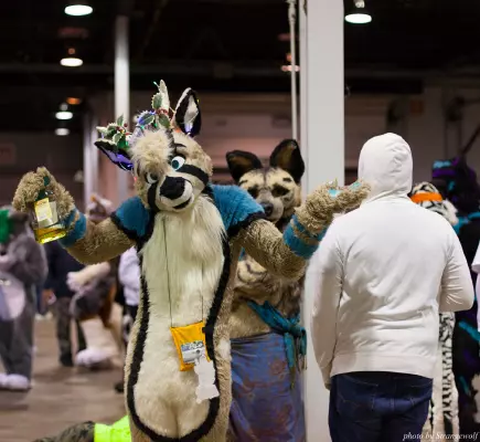 IMG_6488-lr16t.jpg of MFF/MFF2014/