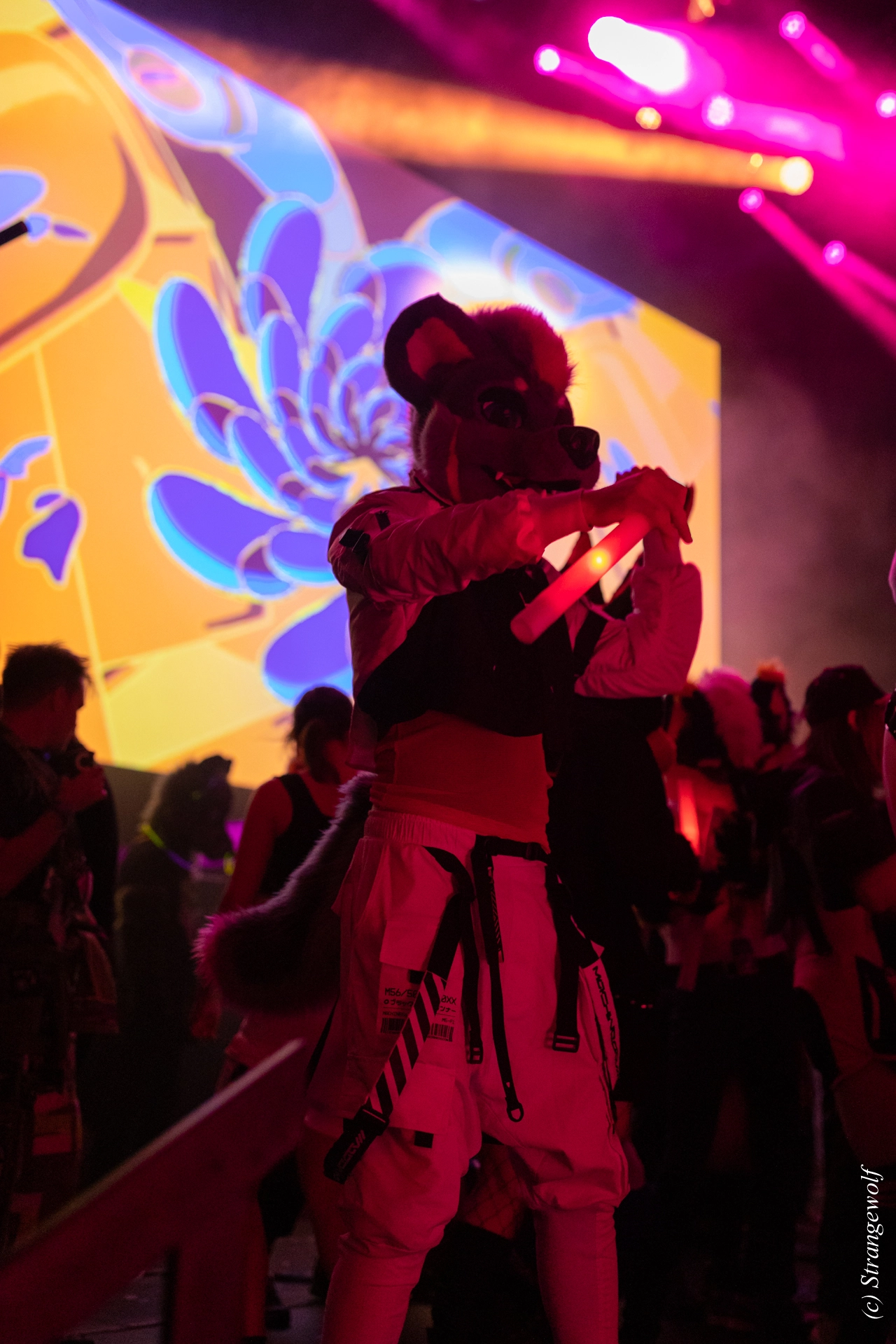 full image 1R3A3795-lr19t.jpg