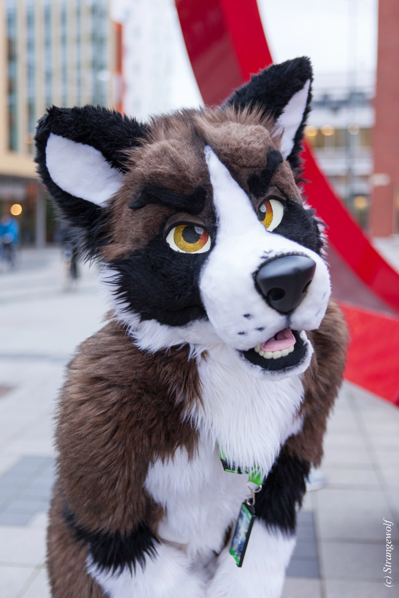 full image IMG_8590-lr19t.jpg