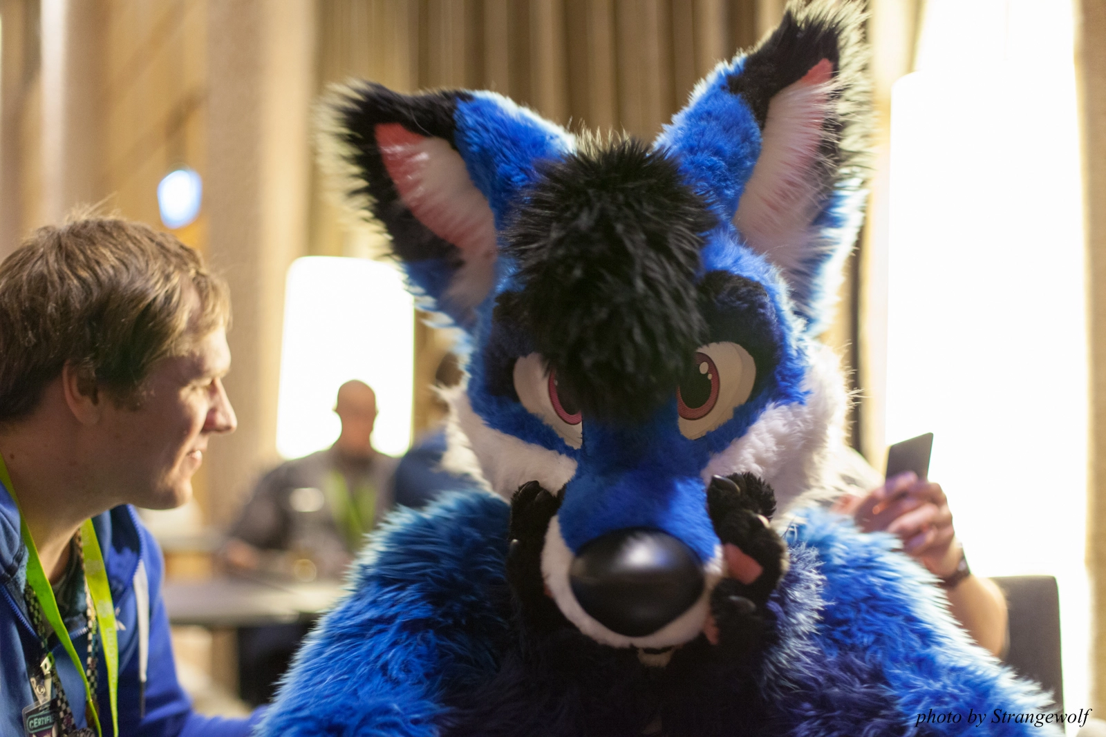 full image IMG_1554-lr16t.jpg