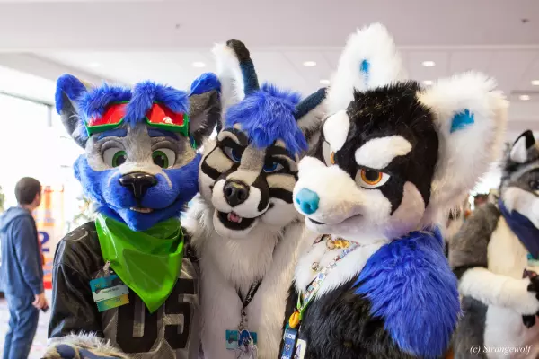 IMG_8386-lr19t.jpg of MFF/MFF2017/