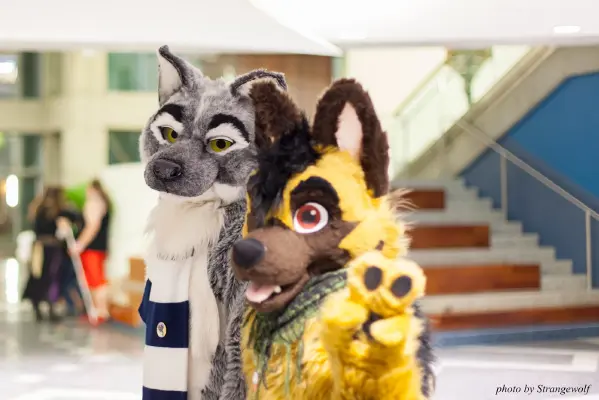 IMG_1248-lr16t.jpg of FC/FC2017/