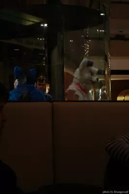 IMG_0368-lr.jpg of MFF/MFF2013/