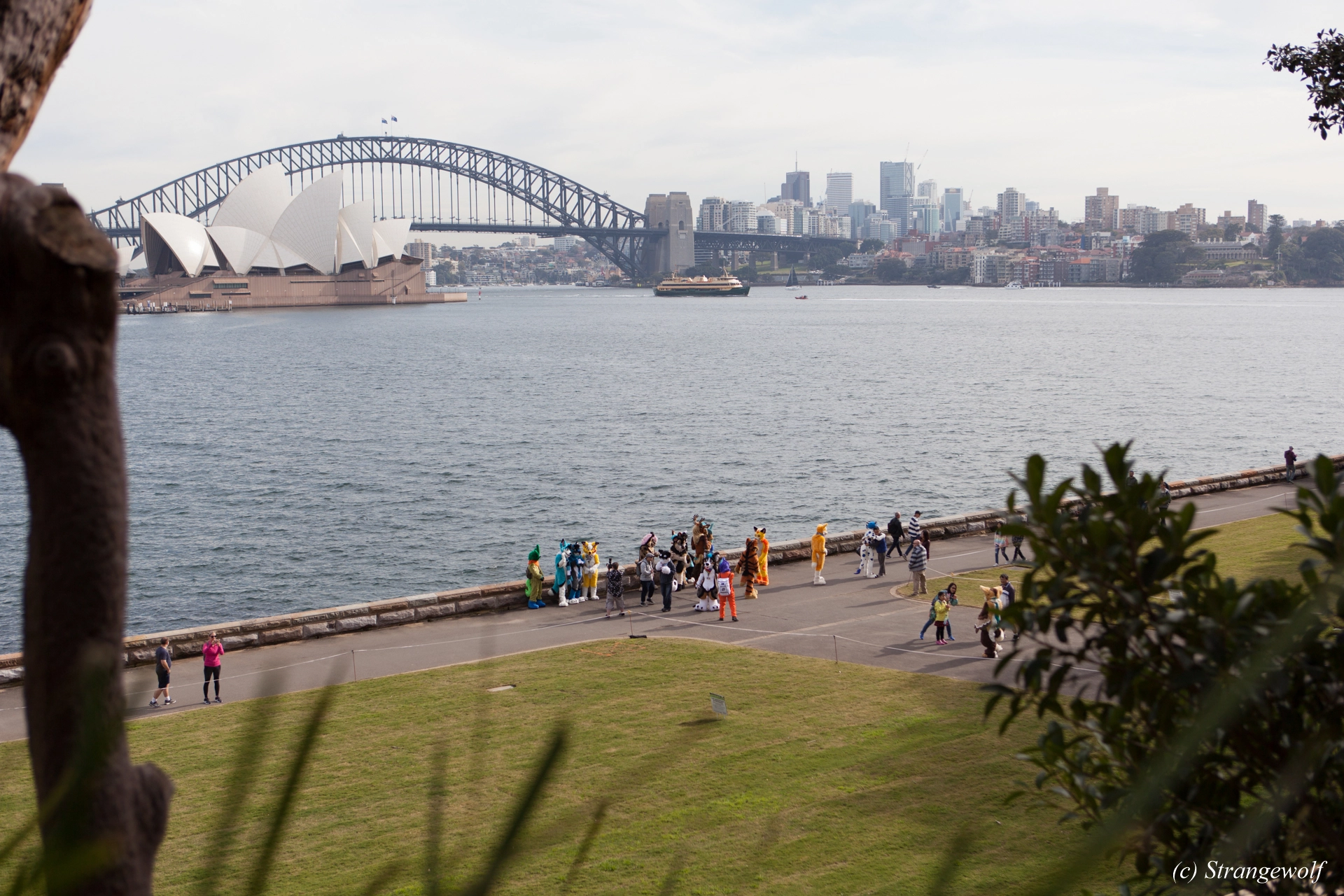 full image IMG_4244-lr19t.jpg