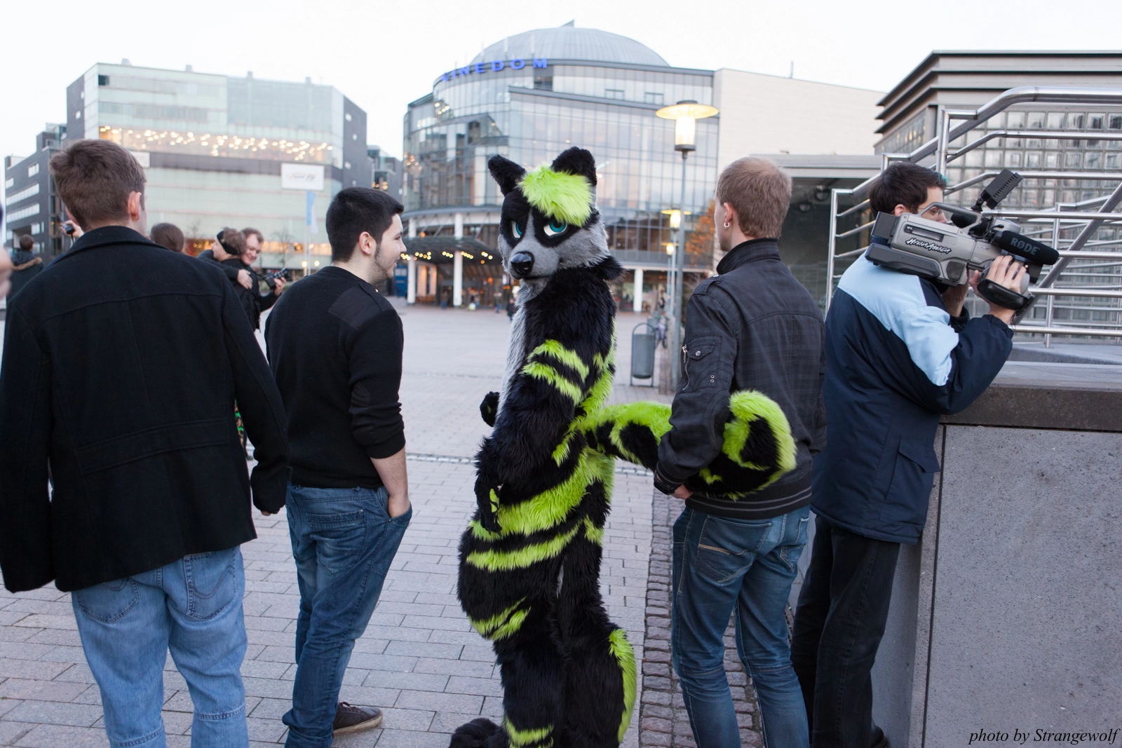 full image IMG_5384-lr16t.jpg