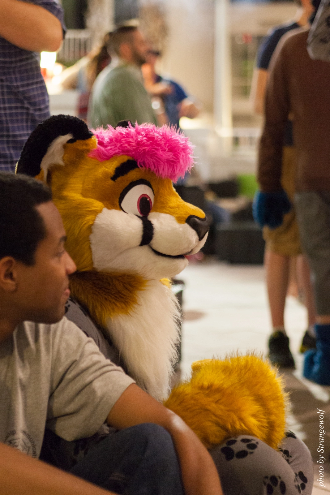 full image IMG_8054-lr16t.jpg