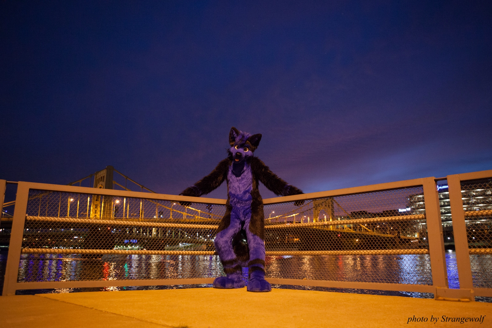 full image IMG_8431-lr16t.jpg