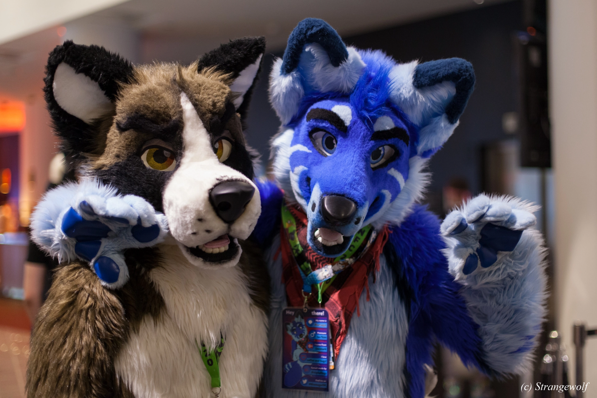 full image IMG_9158-lr19t.jpg