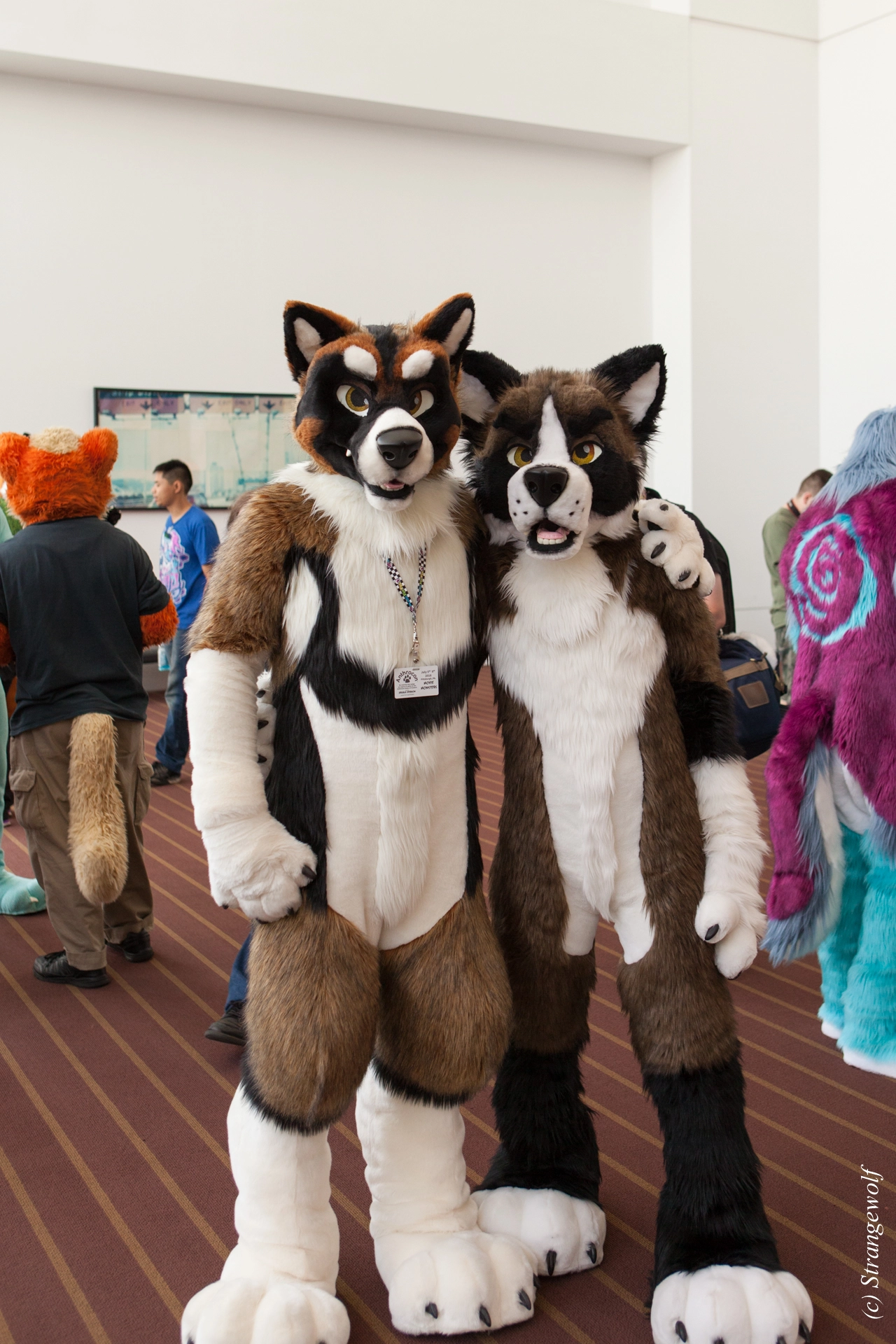 full image IMG_3584-lr19t.jpg