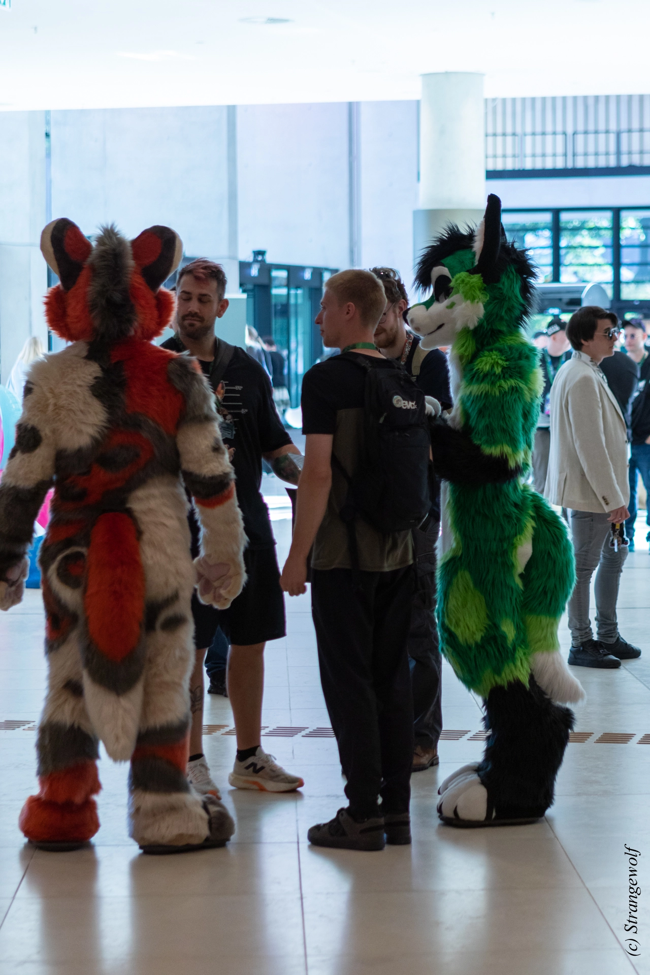 full image 1R3A9204-lr19t.jpg