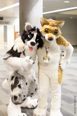 IMG_1243-lr16t.jpg of FC/FC2017/