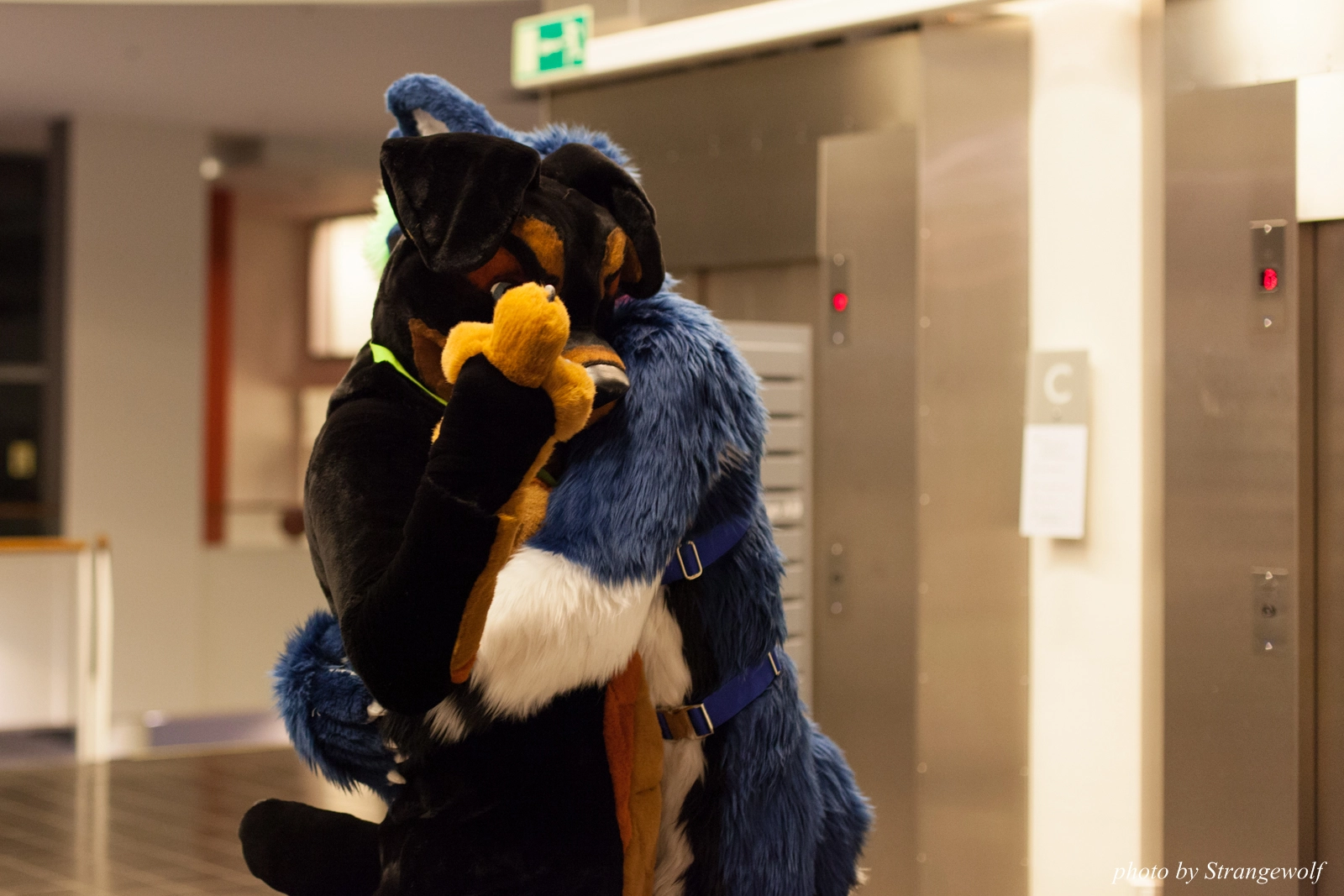 full image IMG_1967-lr16t.jpg