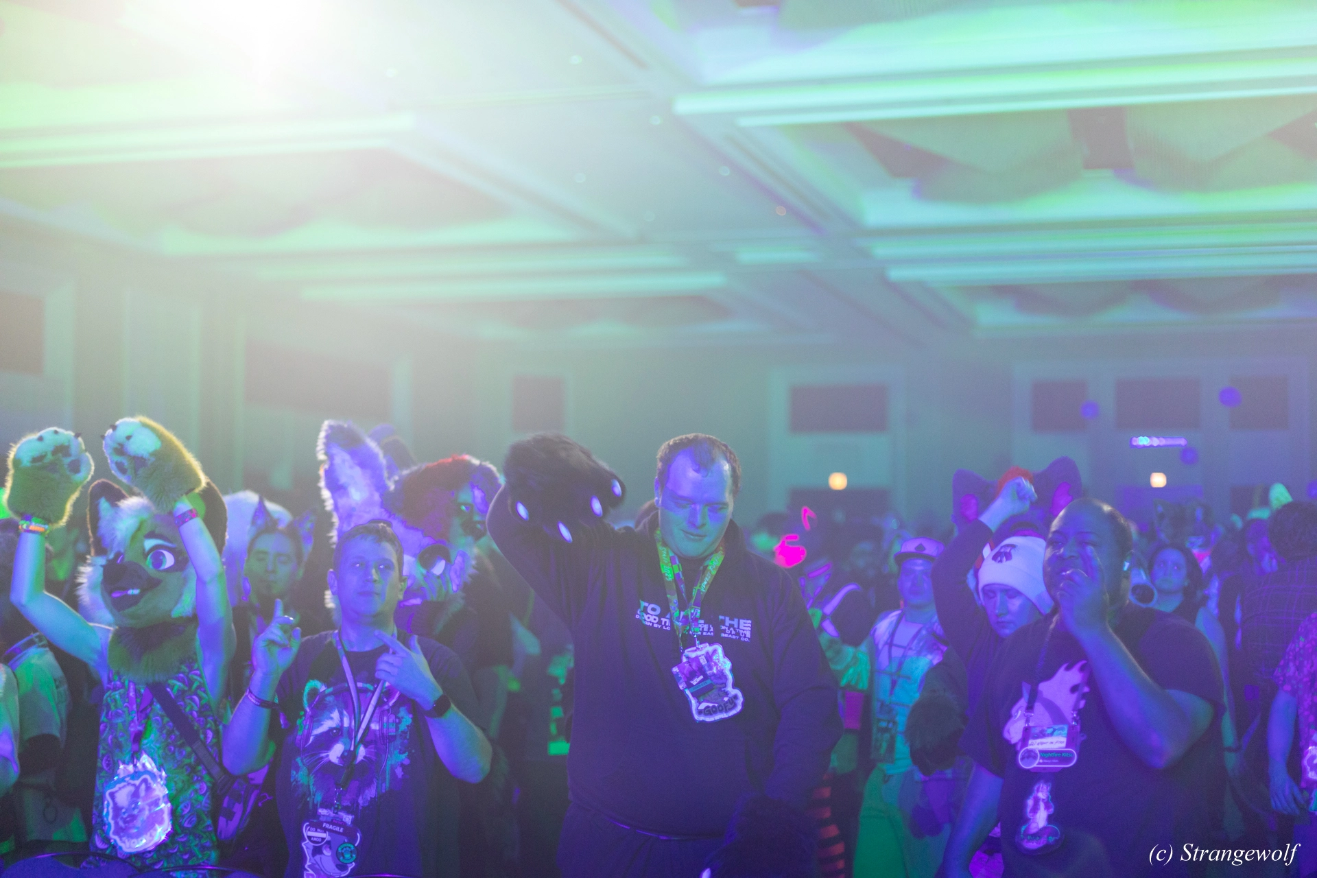 full image 1R3A0537-lr19t.jpg