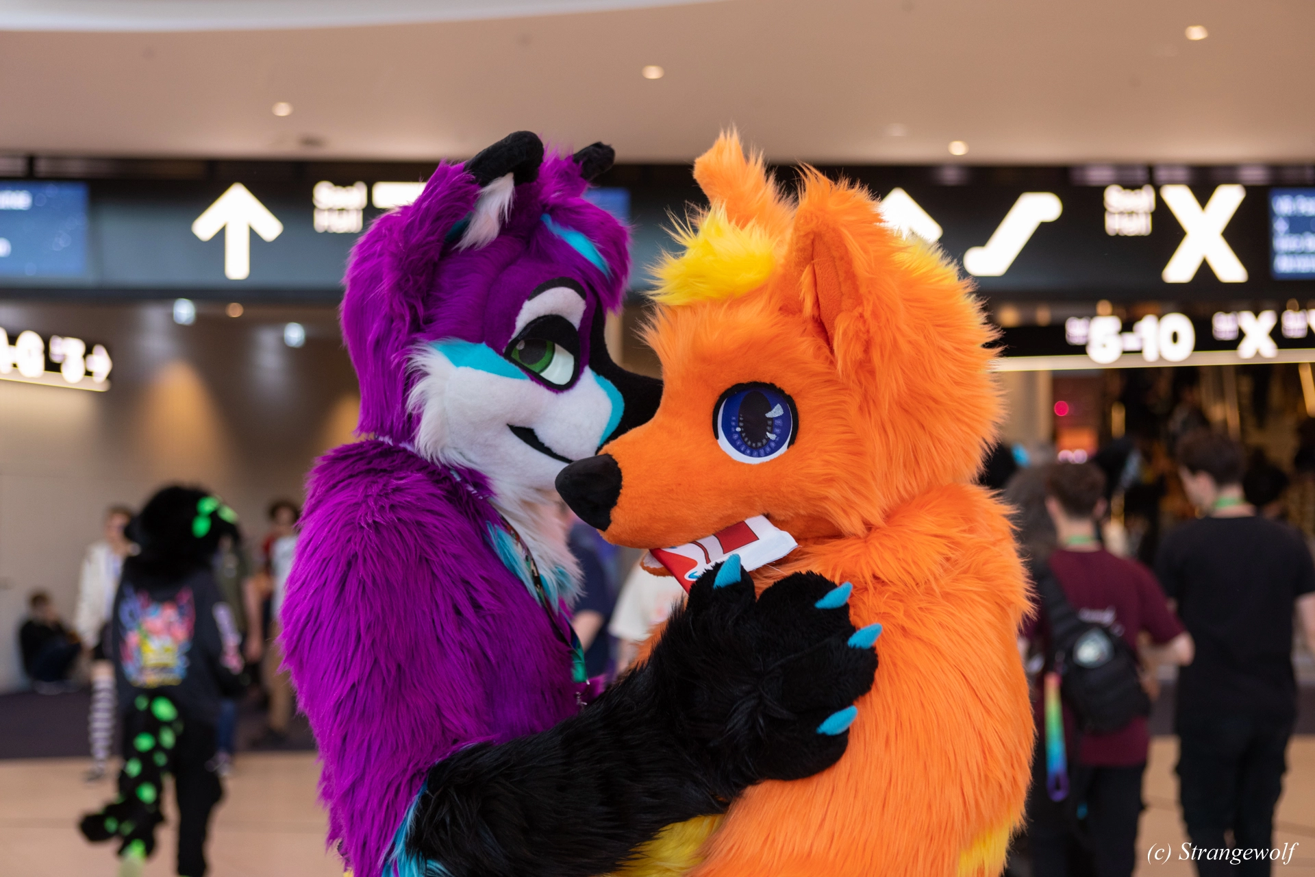 full image 1R3A9065-lr19t.jpg