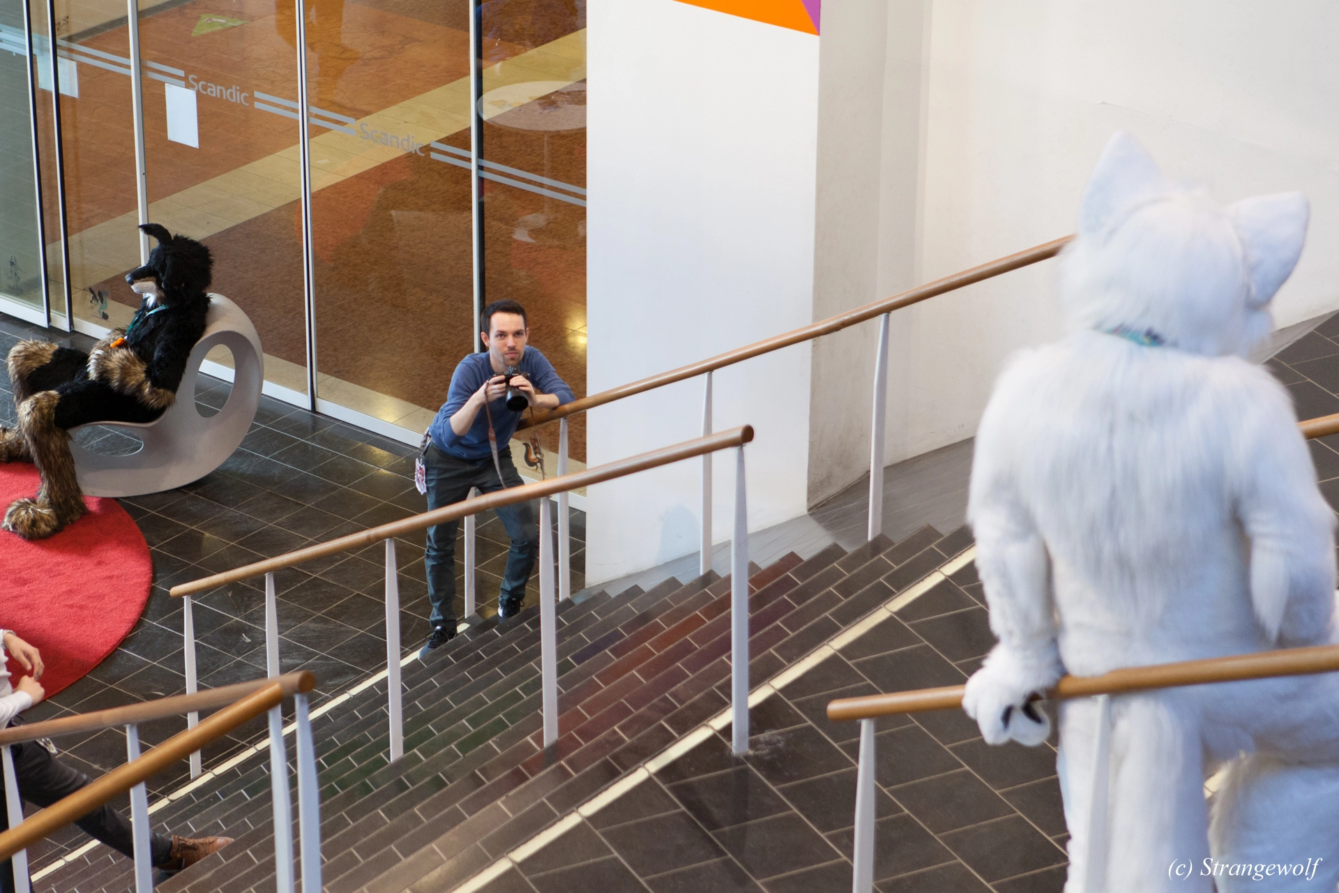 full image IMG_8765-lr19t.jpg